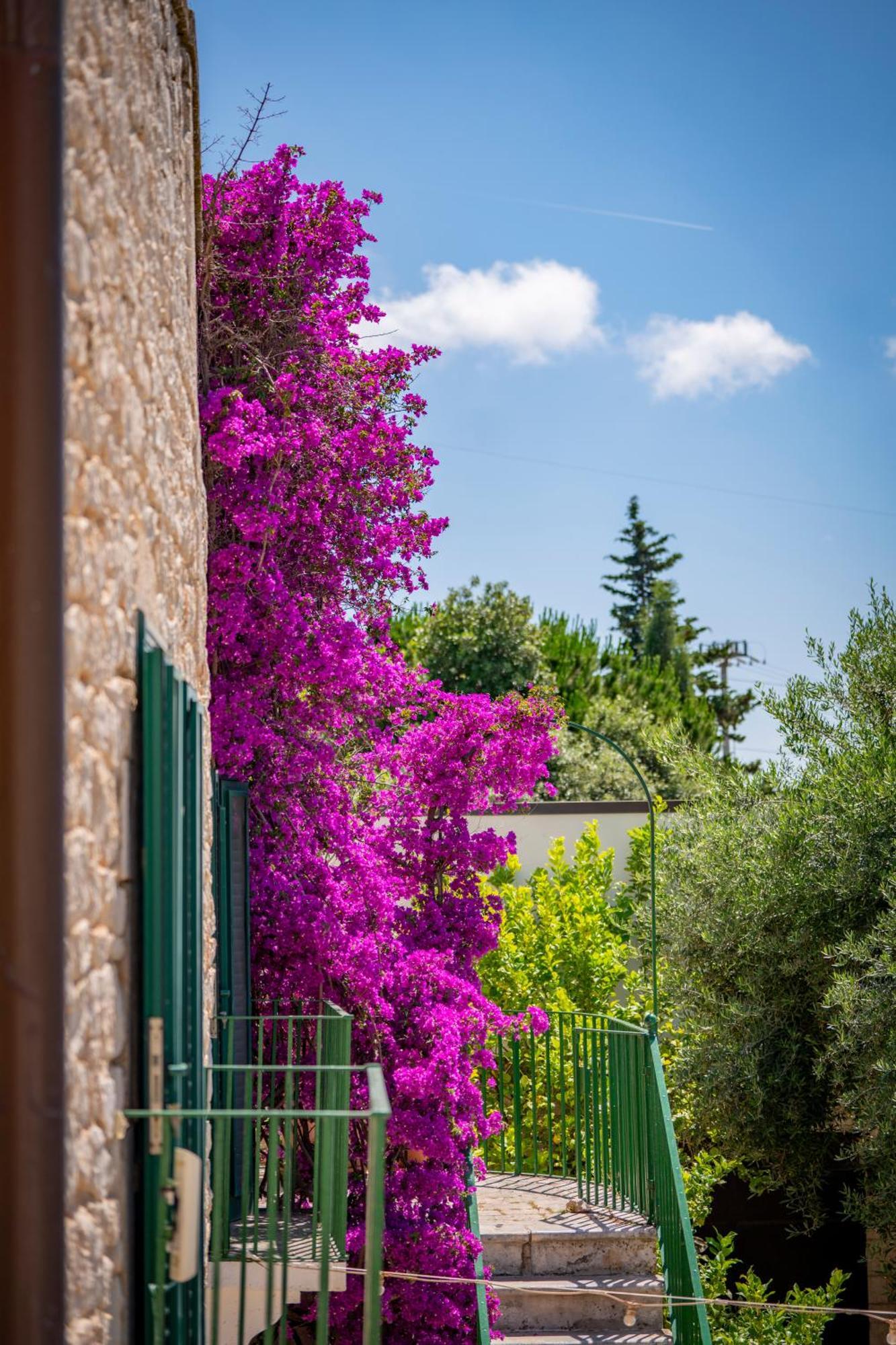 Masseria Montepaolo Dimora di Charme Conversano Exterior foto